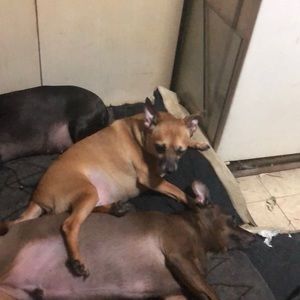 Meet your Posher, Rocio